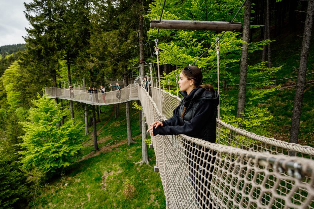 At a height of 24 meters, Kope offers a new experience in nature—the Treetop Trail