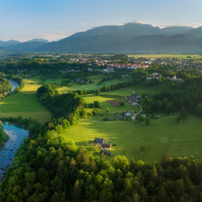 Sava, Radovljica
